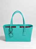 Eclat Tote - Cyanne